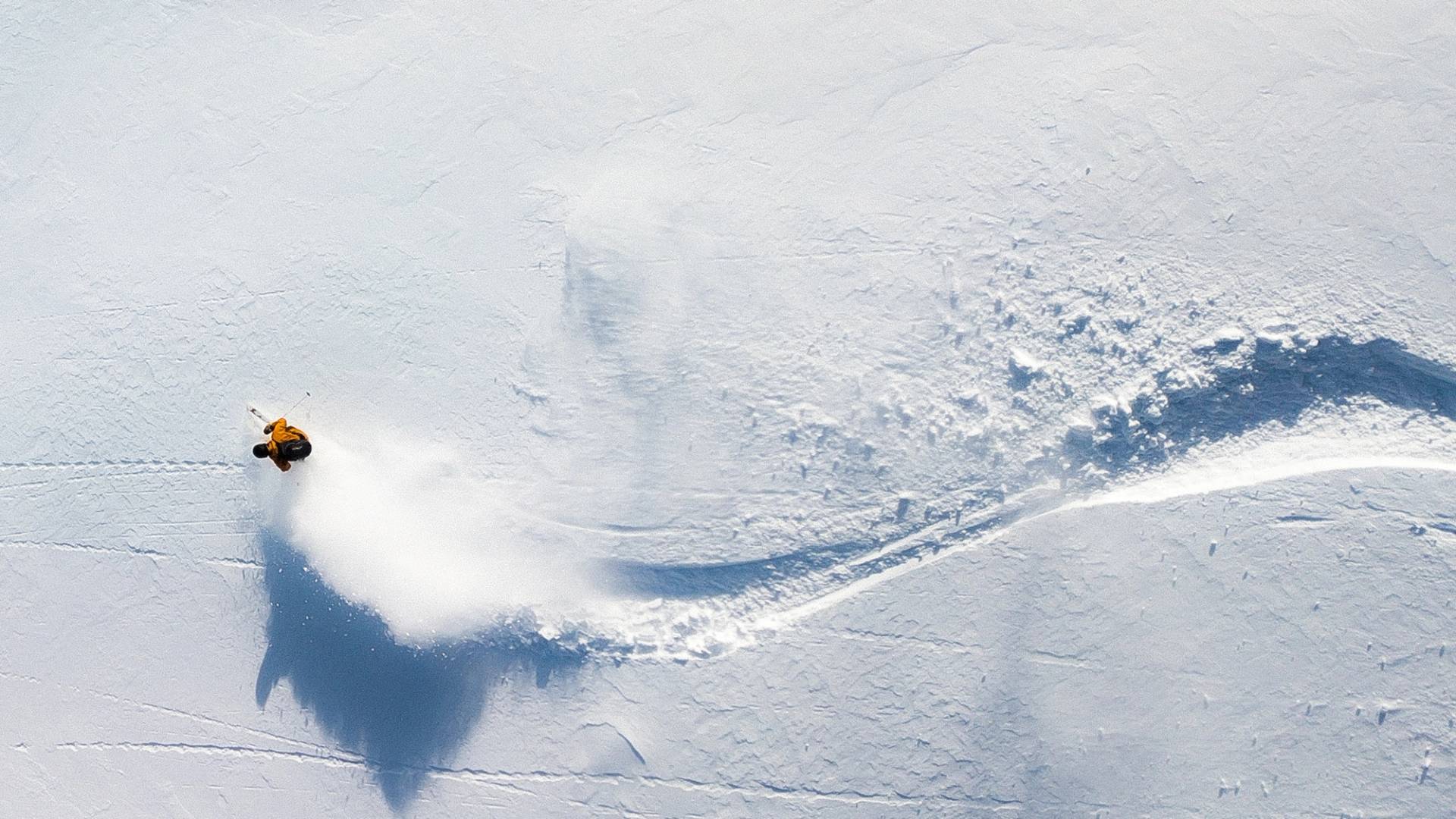 Skier on a powder day