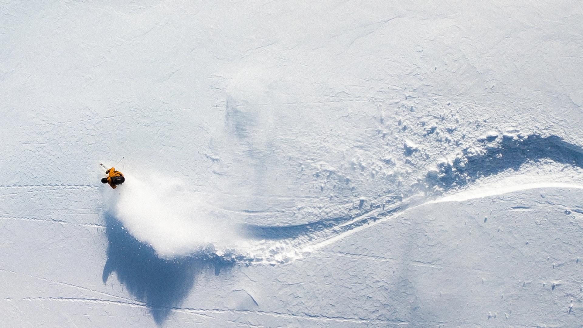 Skier riding fresh powder lines at Brighton Ski Resort