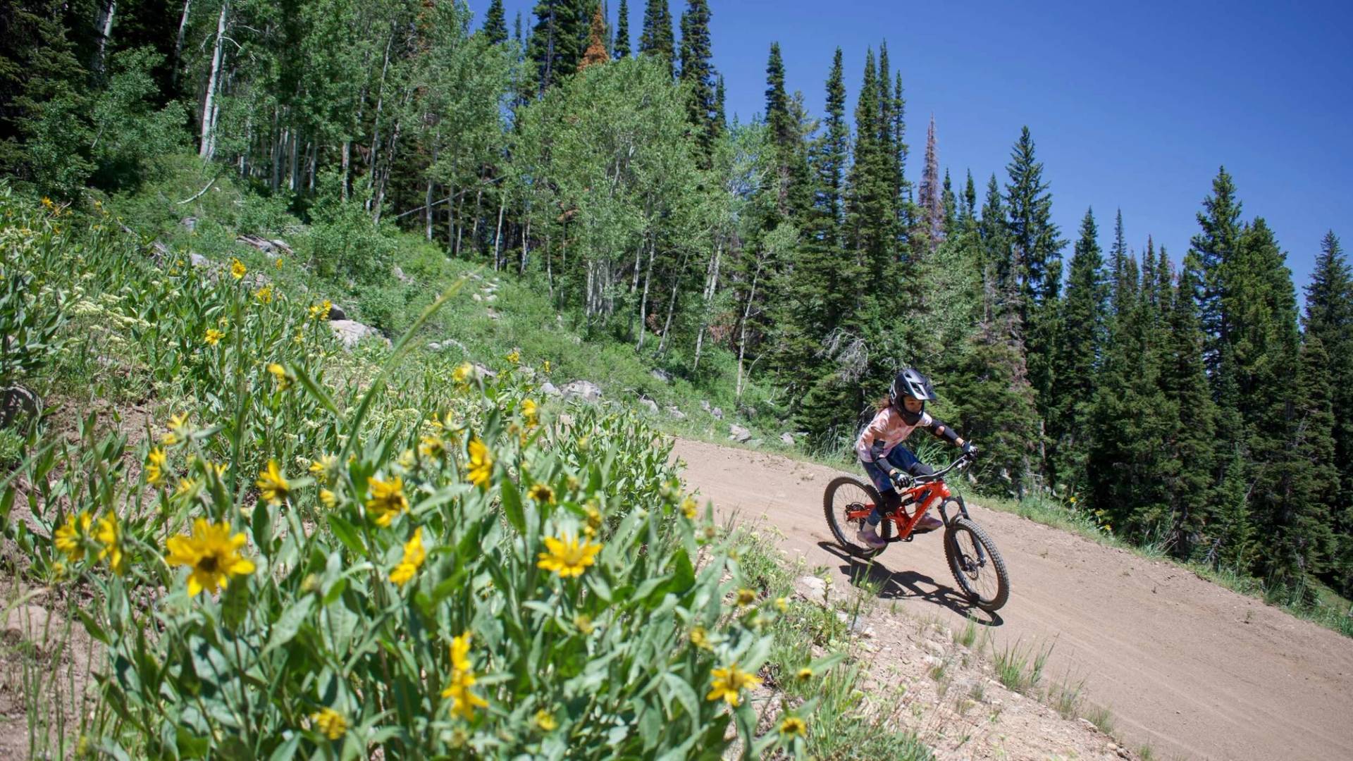 Mountain biker at Brighton Resort in the summer time in Utah