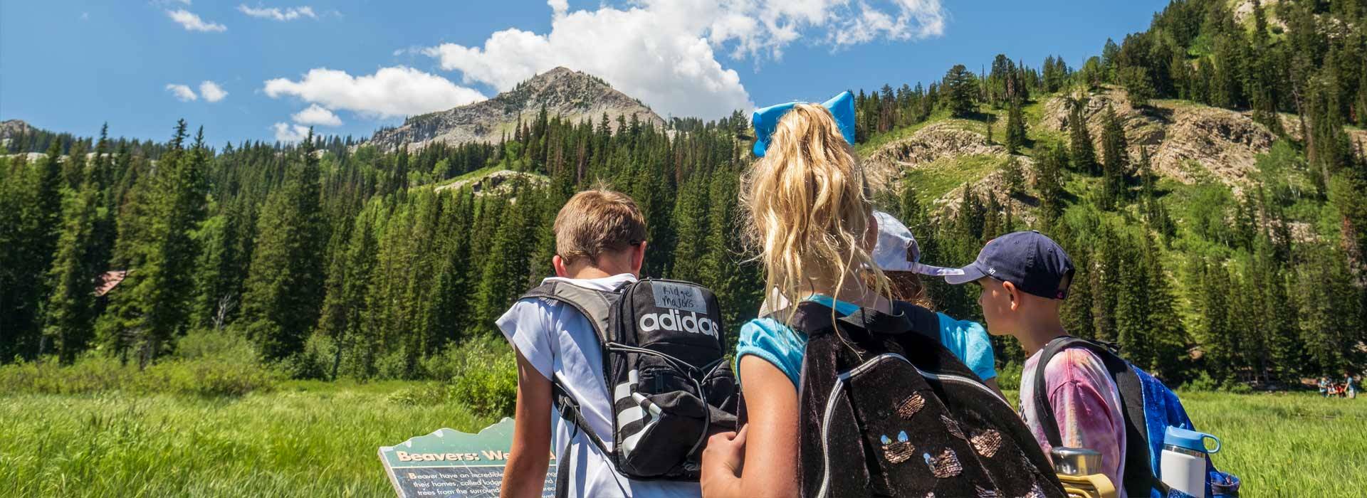 Campers at Brighton in the summer