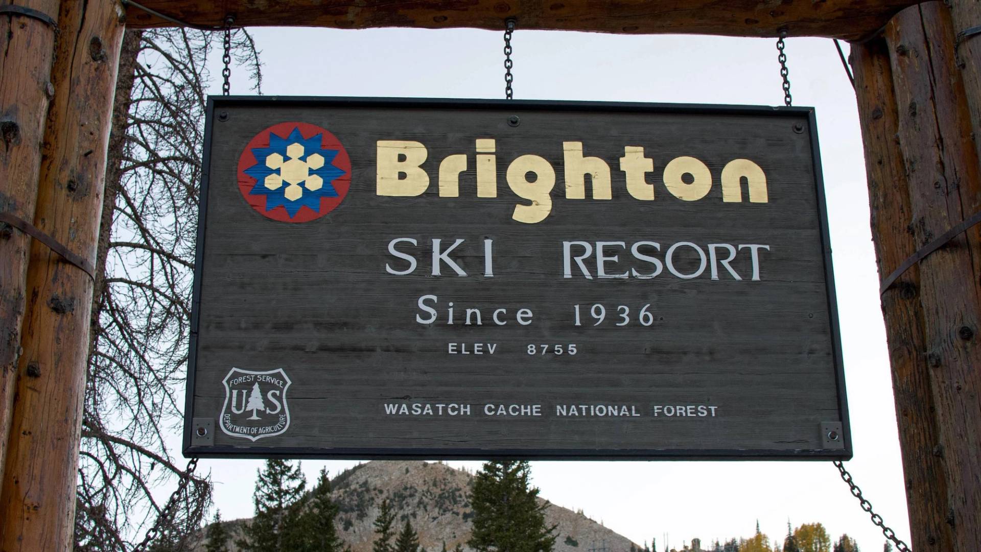 Brighton Resort sign in the summer