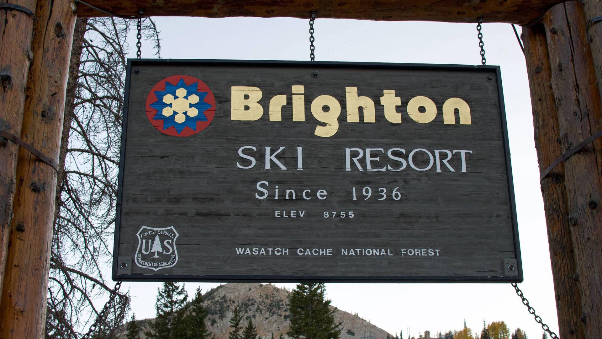 Brighton Resort sign in the summer