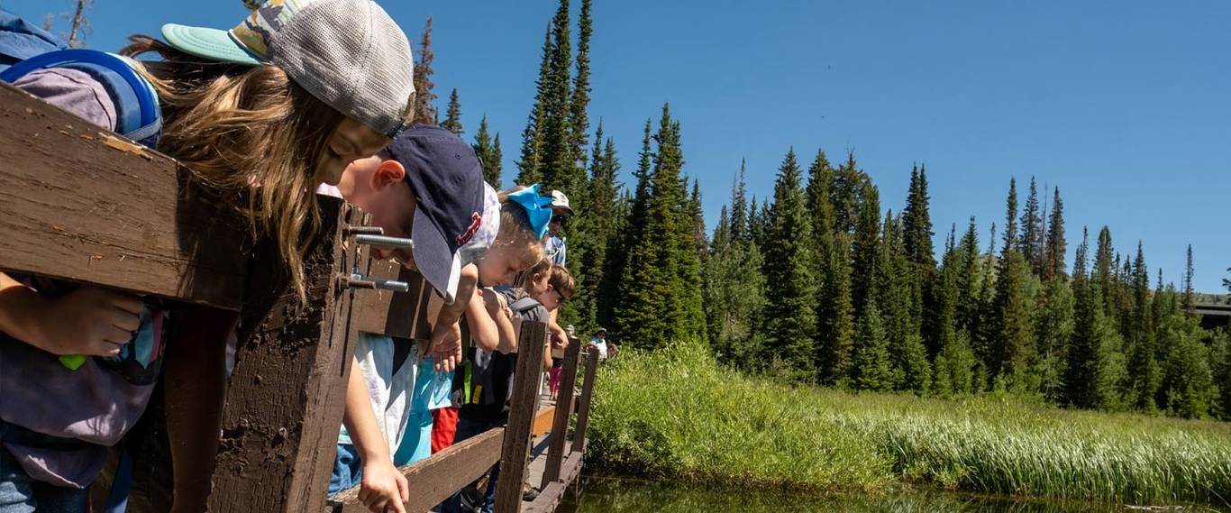 Kids in summer camp at Brighton