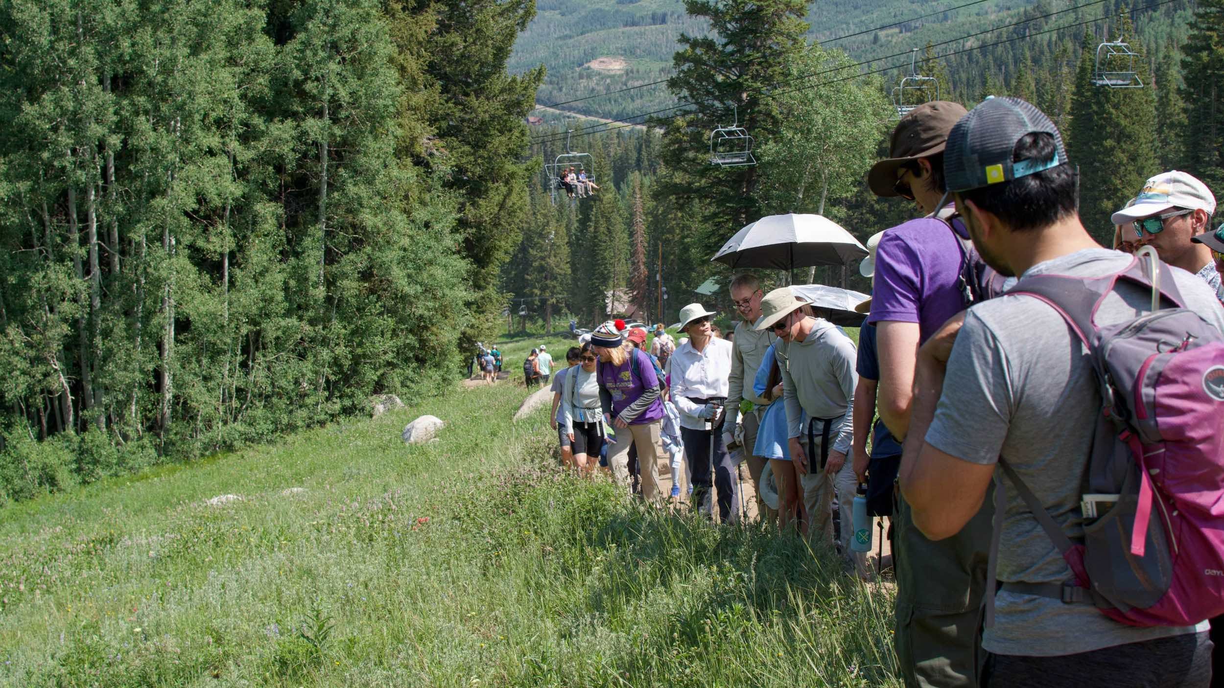Wildflower Festival at Brighton Resort during the summer