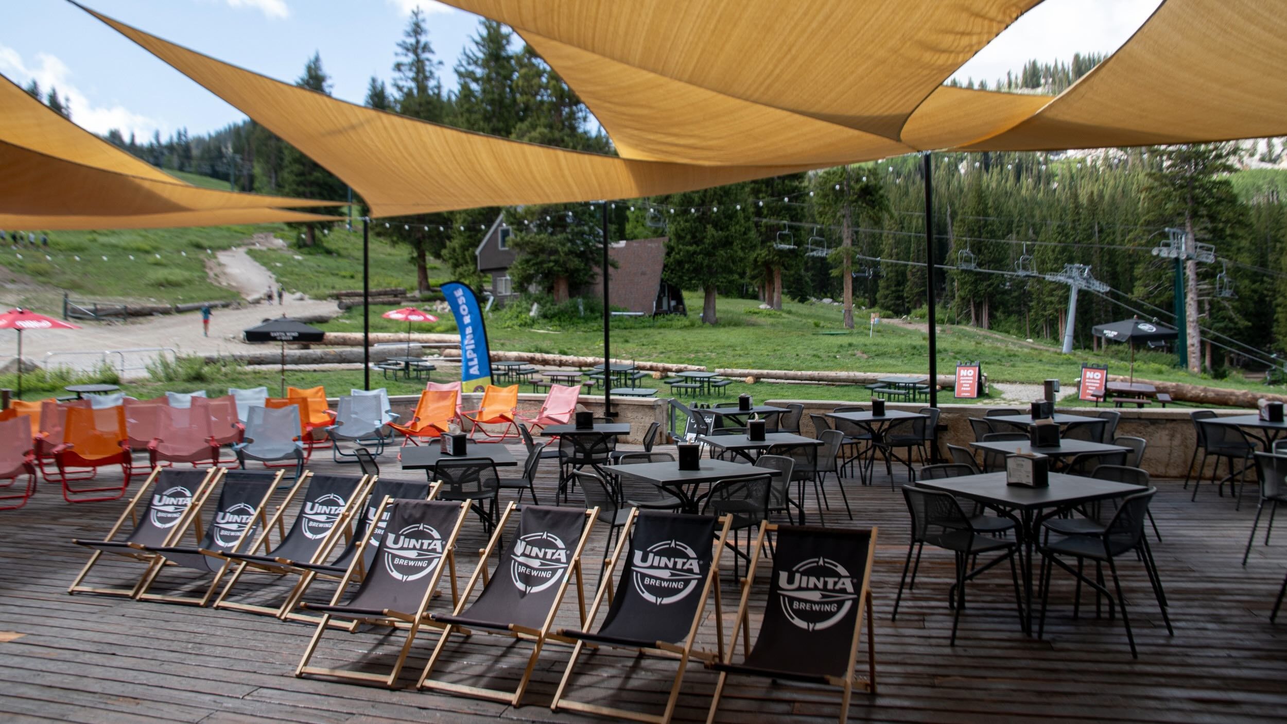 Alpine Rose in the summer time at Brighton Resort