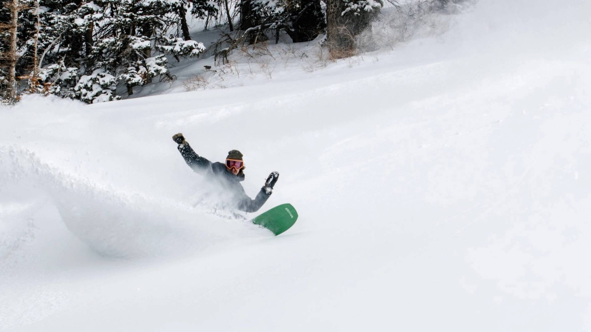 Snowboarder in powder at Brighton Ski Resort