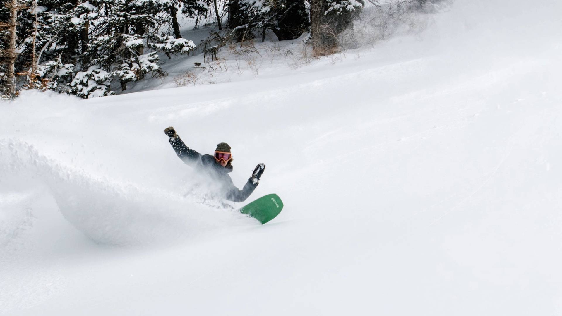 Snowboarder in powder at Brighton Ski Resort