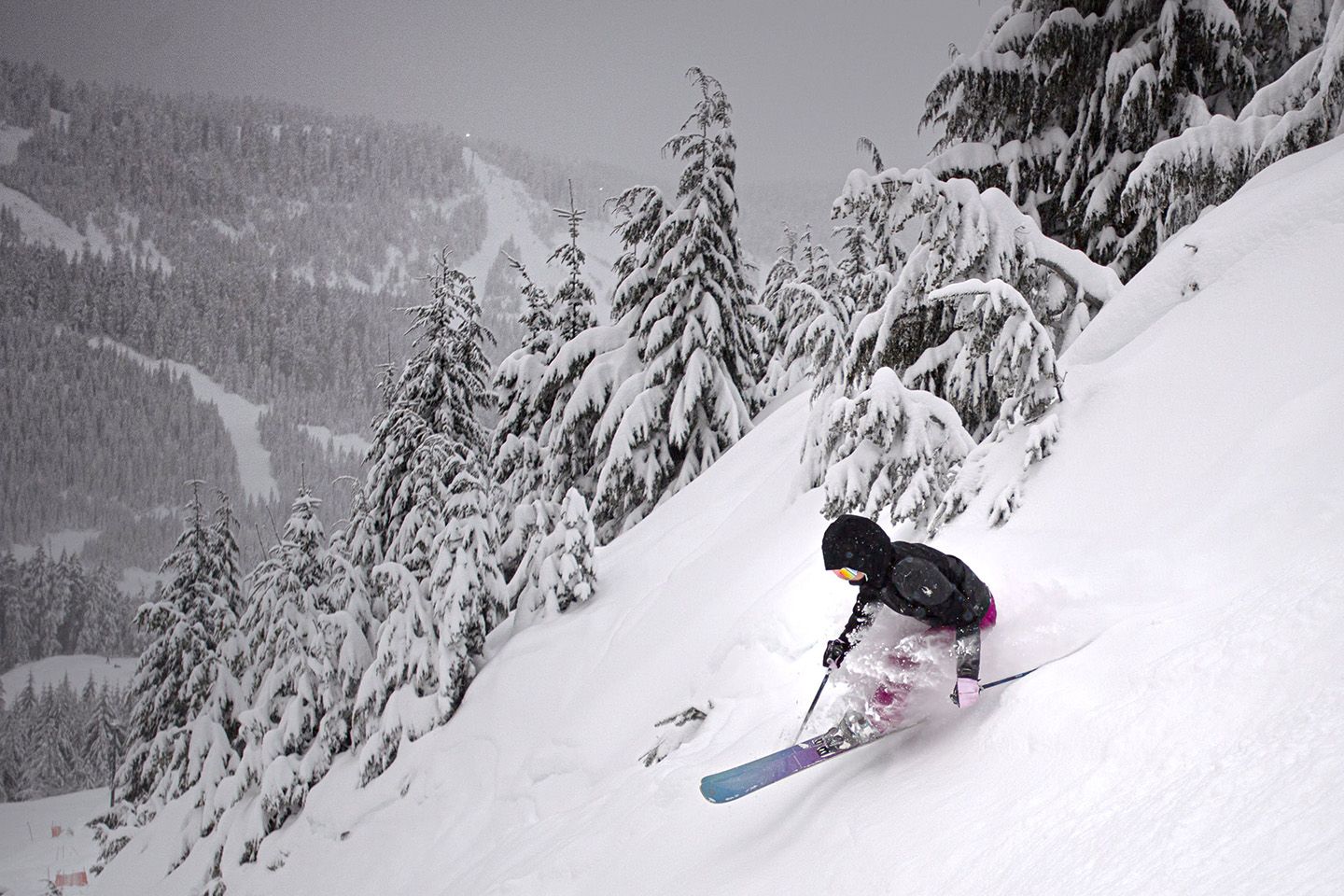 Skier in black jacket skis powder on Cypress Mountain through the trees.