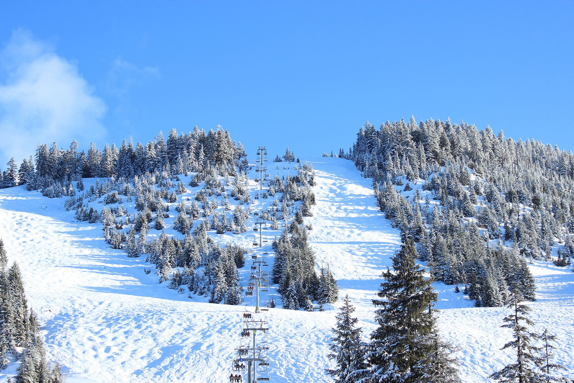 The view of the Howe Sound on a sunny day.