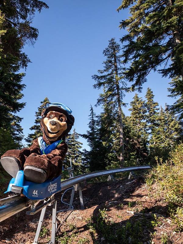 Gnarly Bear on the Eagle Coaster