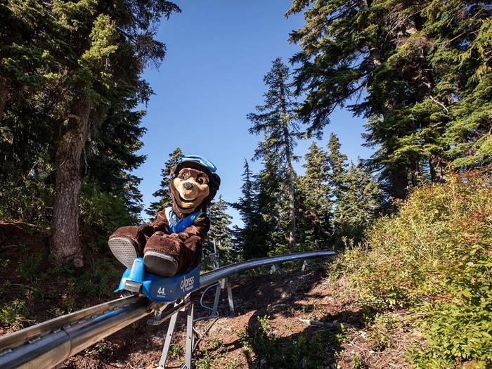 Gnarly Bear on the Eagle Coaster