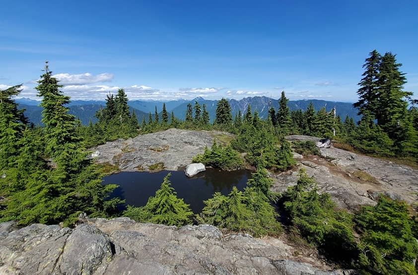 View of Hollyburn peak