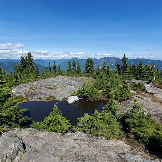 View of Hollyburn peak