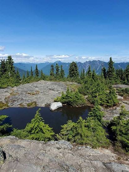 View of Hollyburn peak