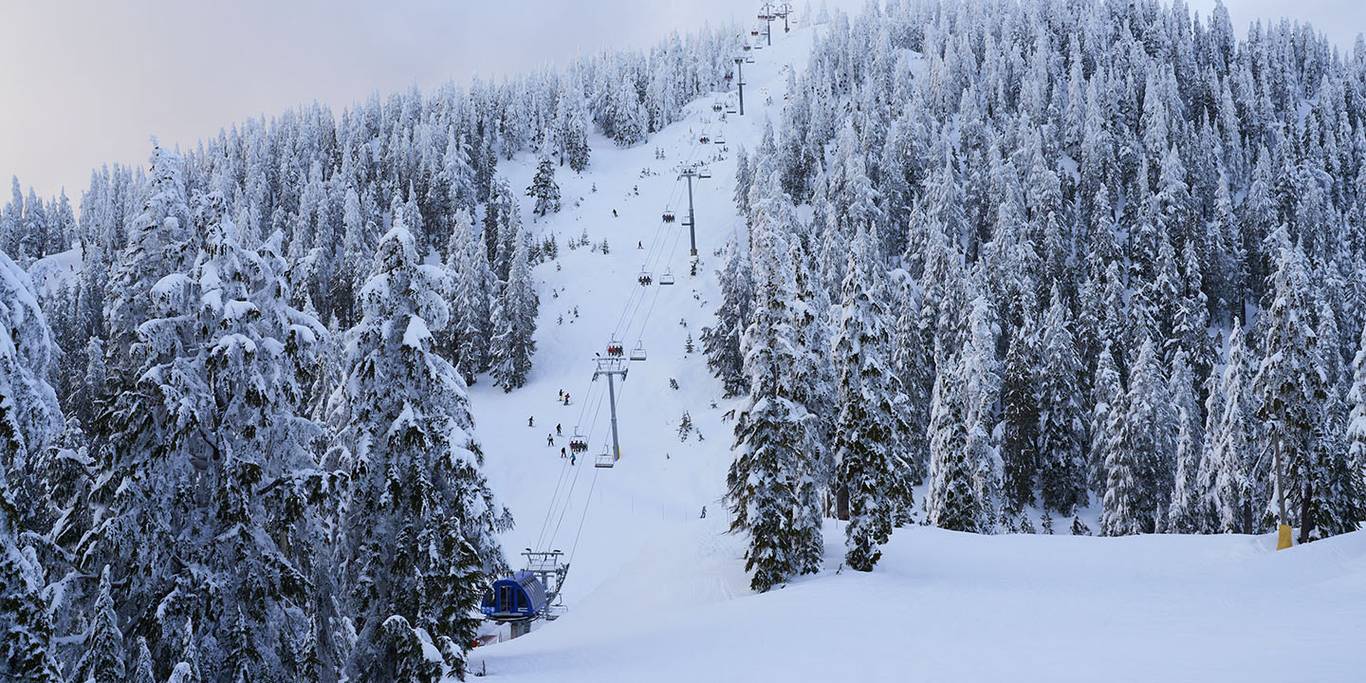 A chairlift ascends the mountain covered in snow, with snow capped trees either side of it.