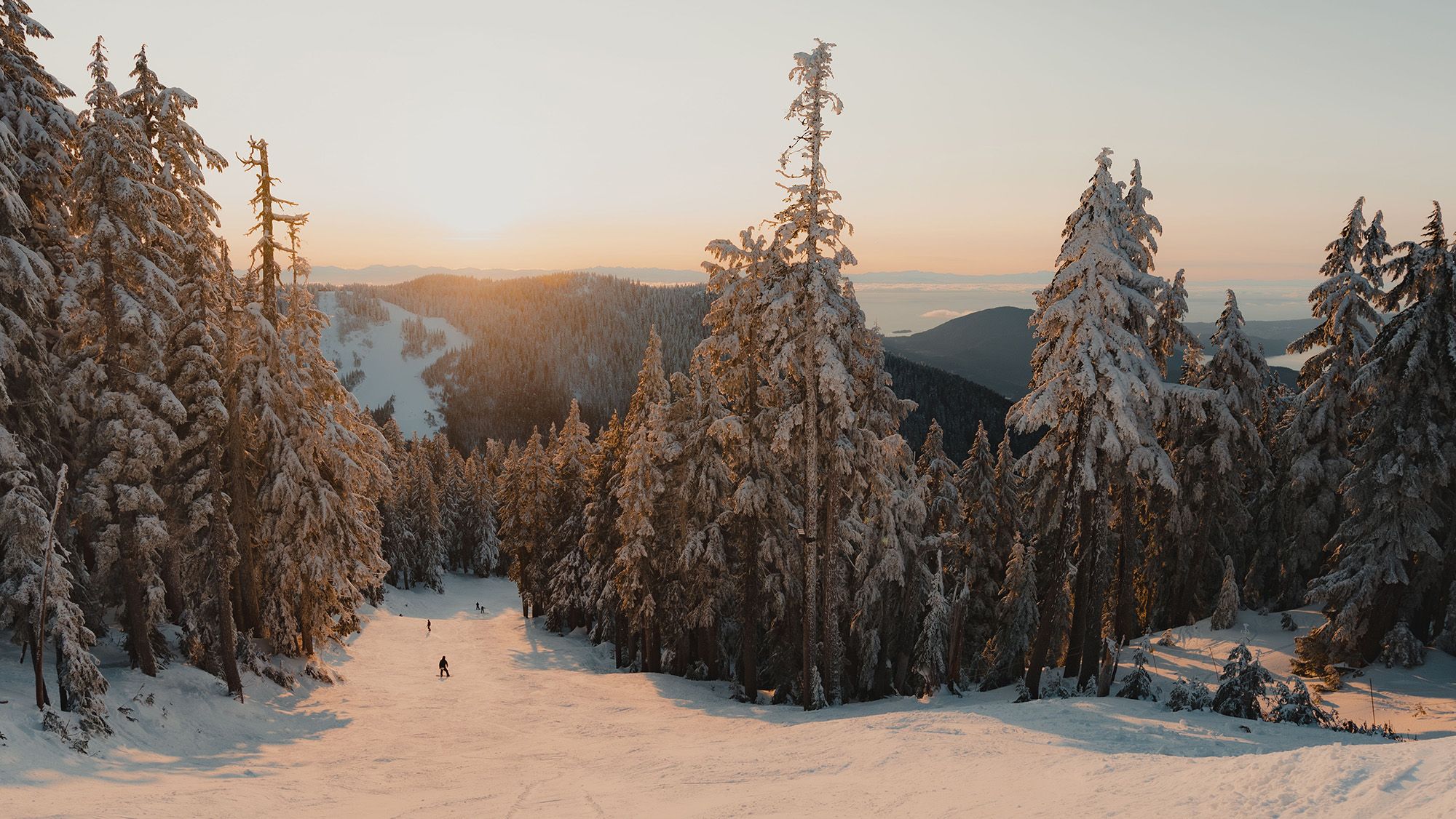 golden hour lights up a calm ski hill with snow-capped trees either side.