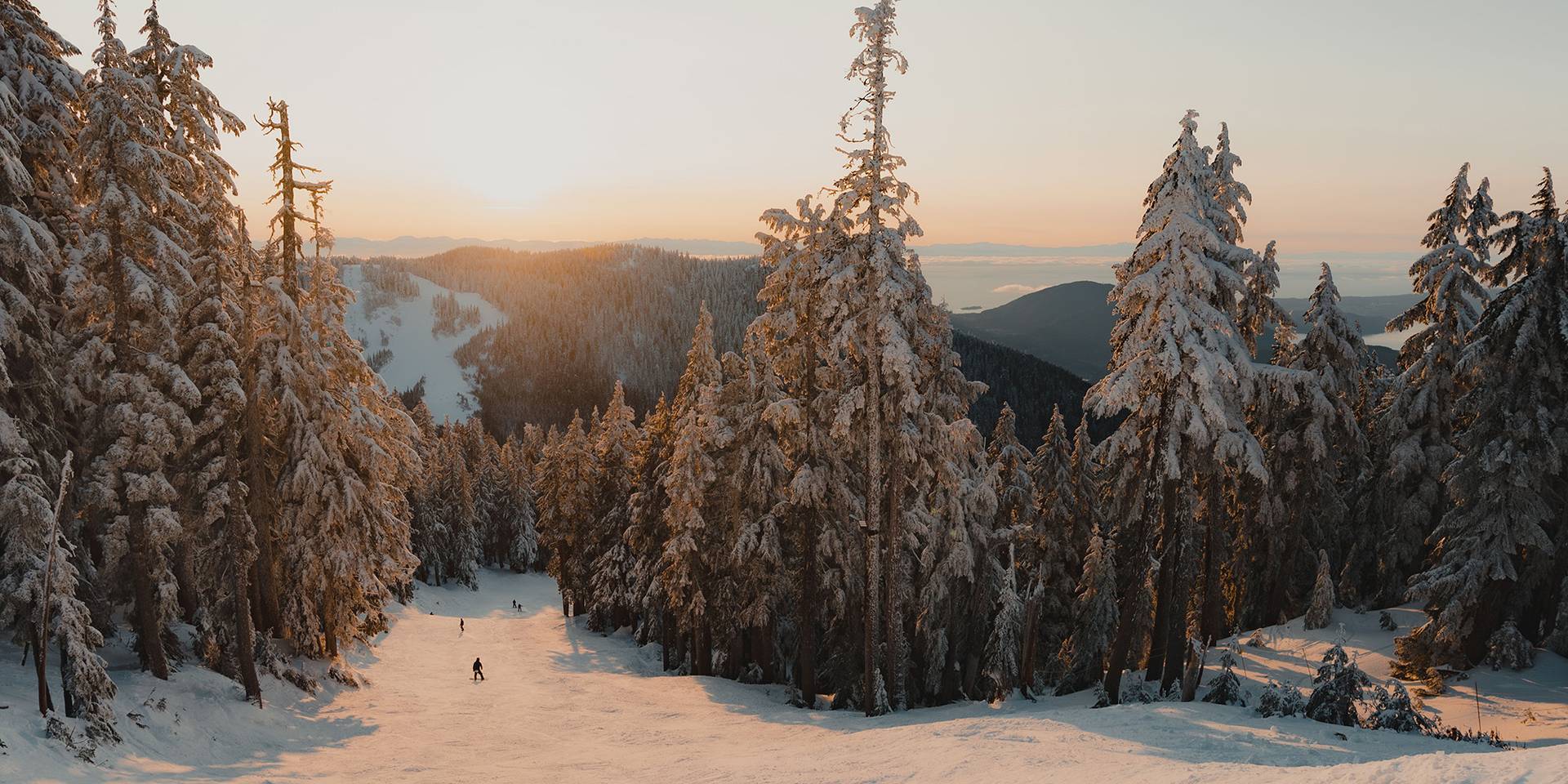 golden hour lights up a calm ski hill with snow-capped trees either side.