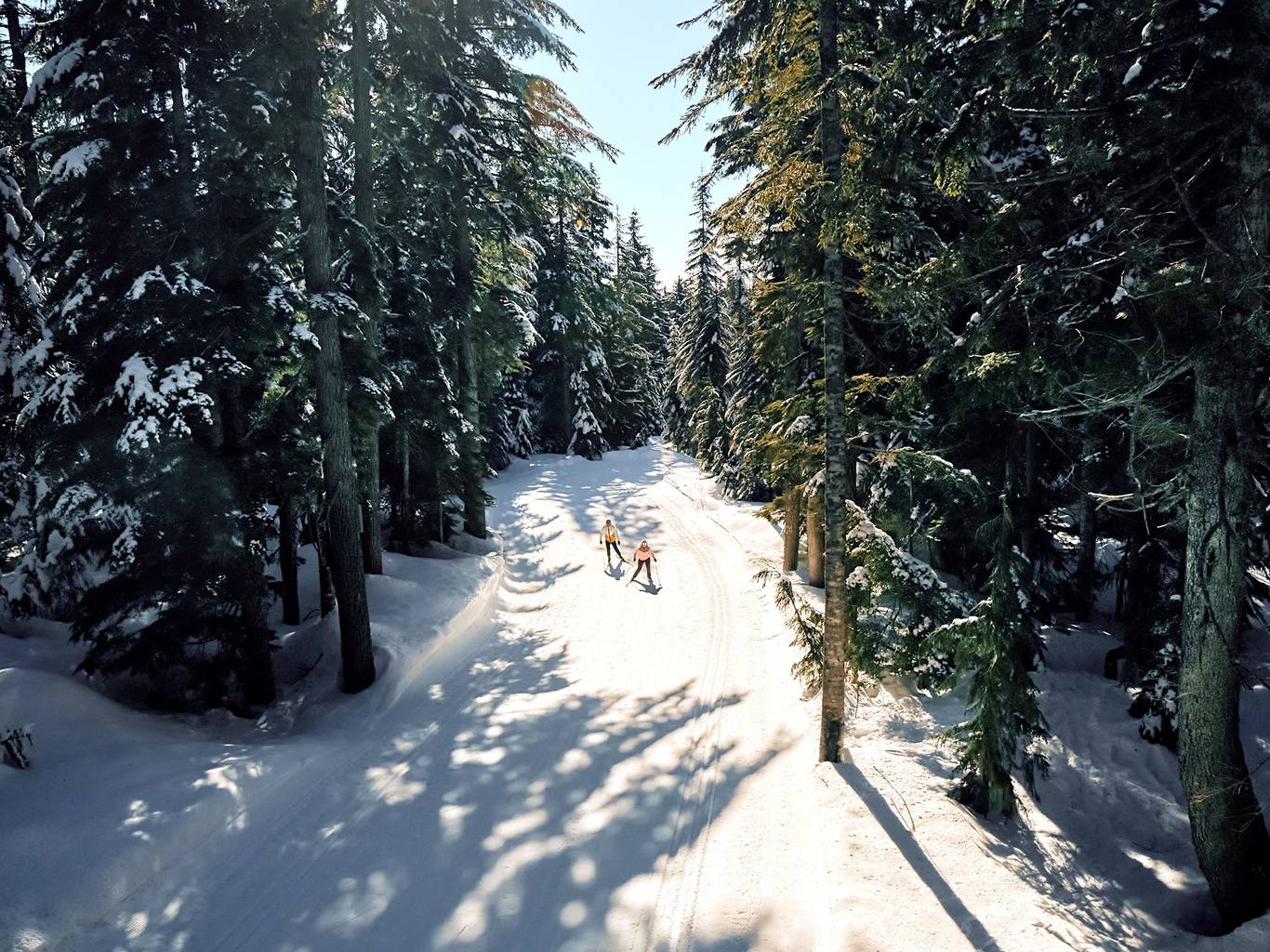 Two people cross country ski down a groomed trail in the sun.