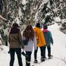 group snow shoeing