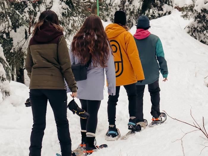Four friends snowshoeing in the forest.