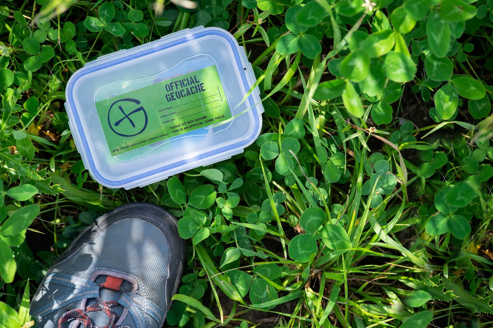 An official geocache in a plastic box sitting in the grass.
