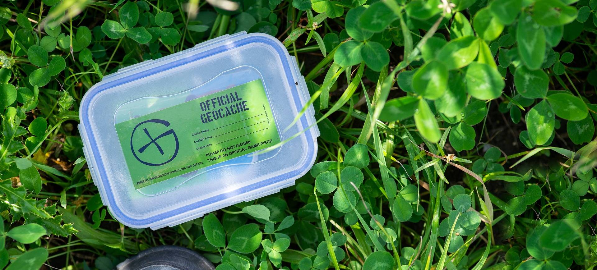 An official geocache in a plastic box sitting in the grass.
