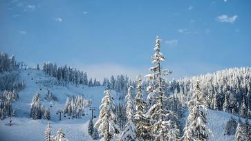 A shot of the chairlift and trees on a bluebird day.