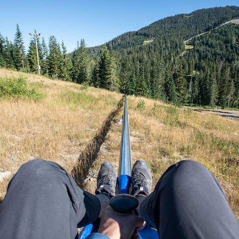 Point of view of rider on the Eagle Coaster