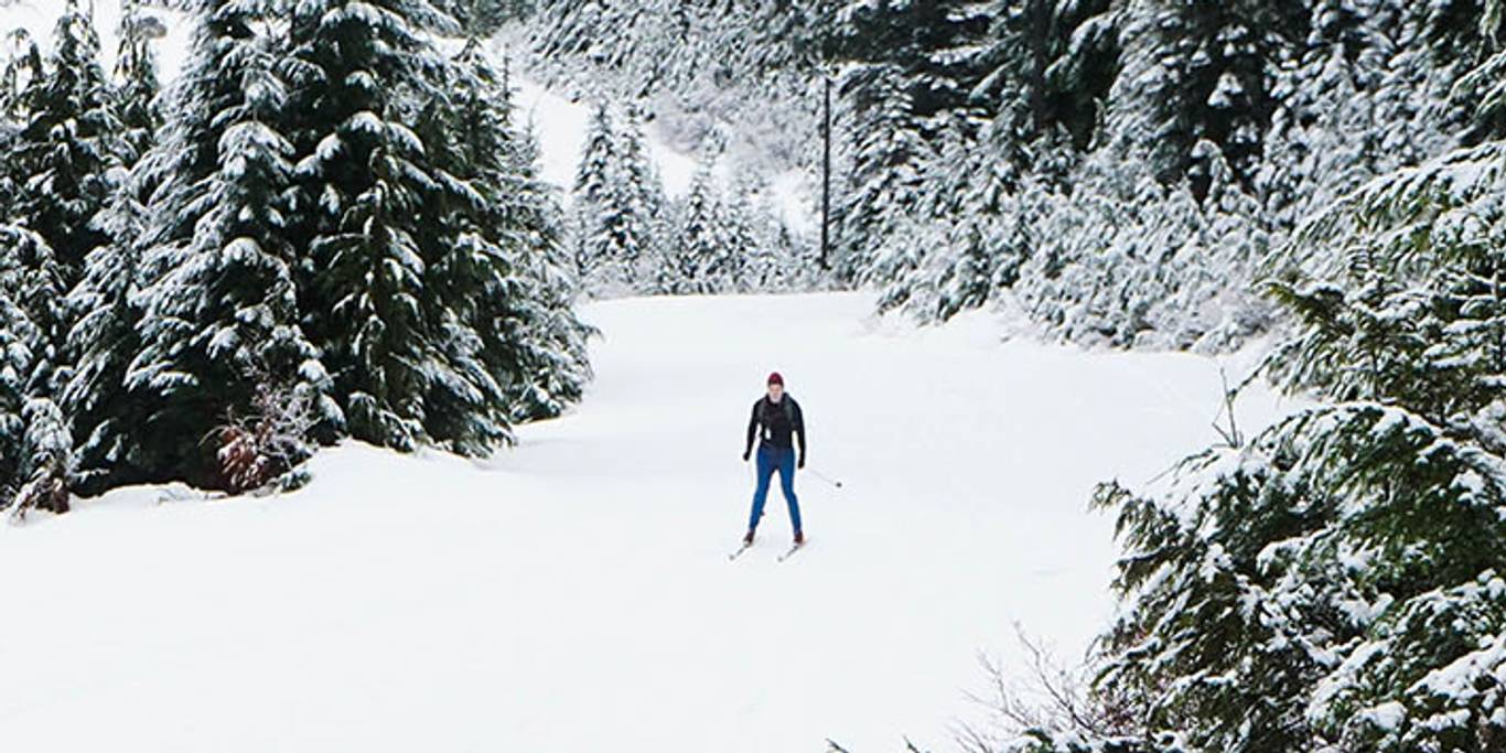 A Nordic skier descends a snowy trail with a green forest on either side.