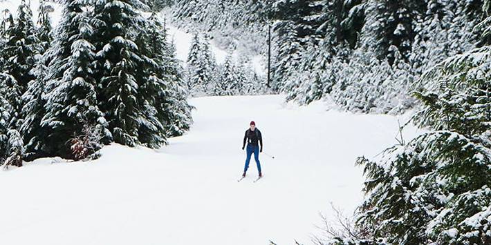 A Nordic skier descends a snowy trail with a green forest on either side.