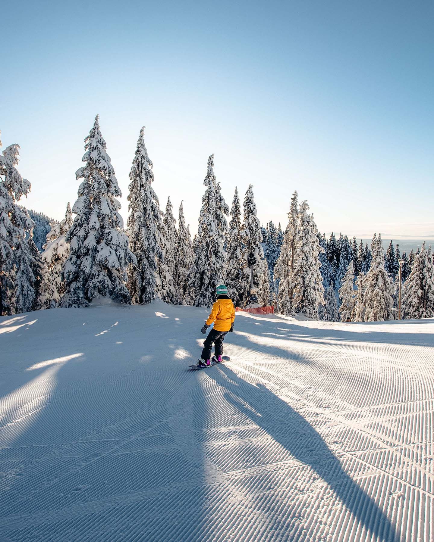 Person in an orange ski jacket snowboards through a groomed run with trees in front of them.
