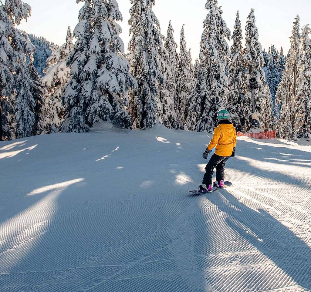 Person in an orange ski jacket snowboards through a groomed run with trees in front of them.