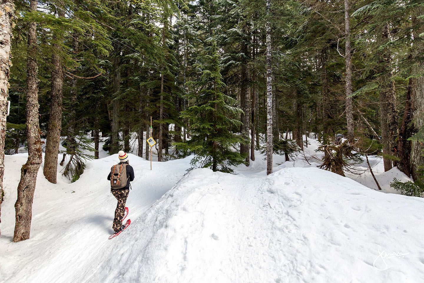 A person walking in the snowy forest with snowshoes.