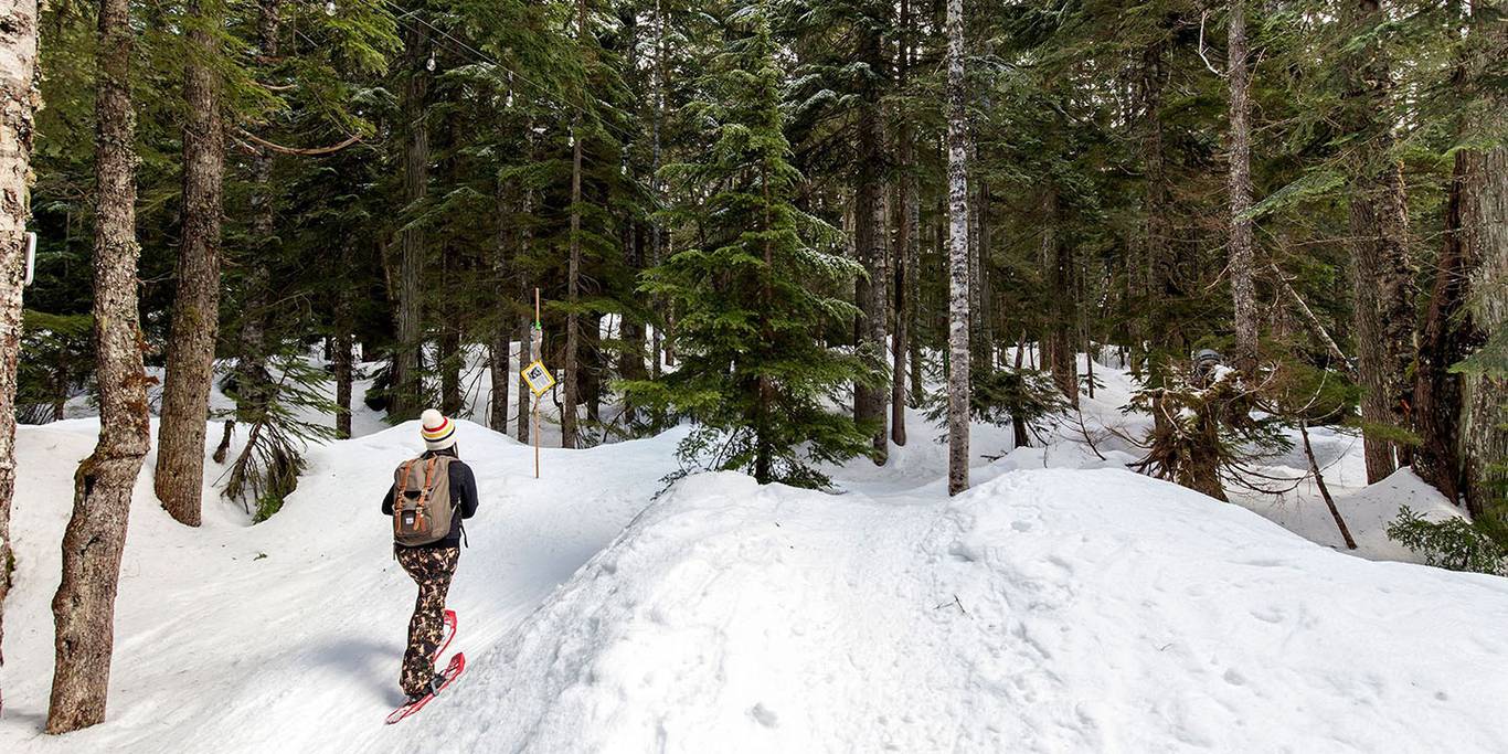 A person walking in the snowy forest with snowshoes.