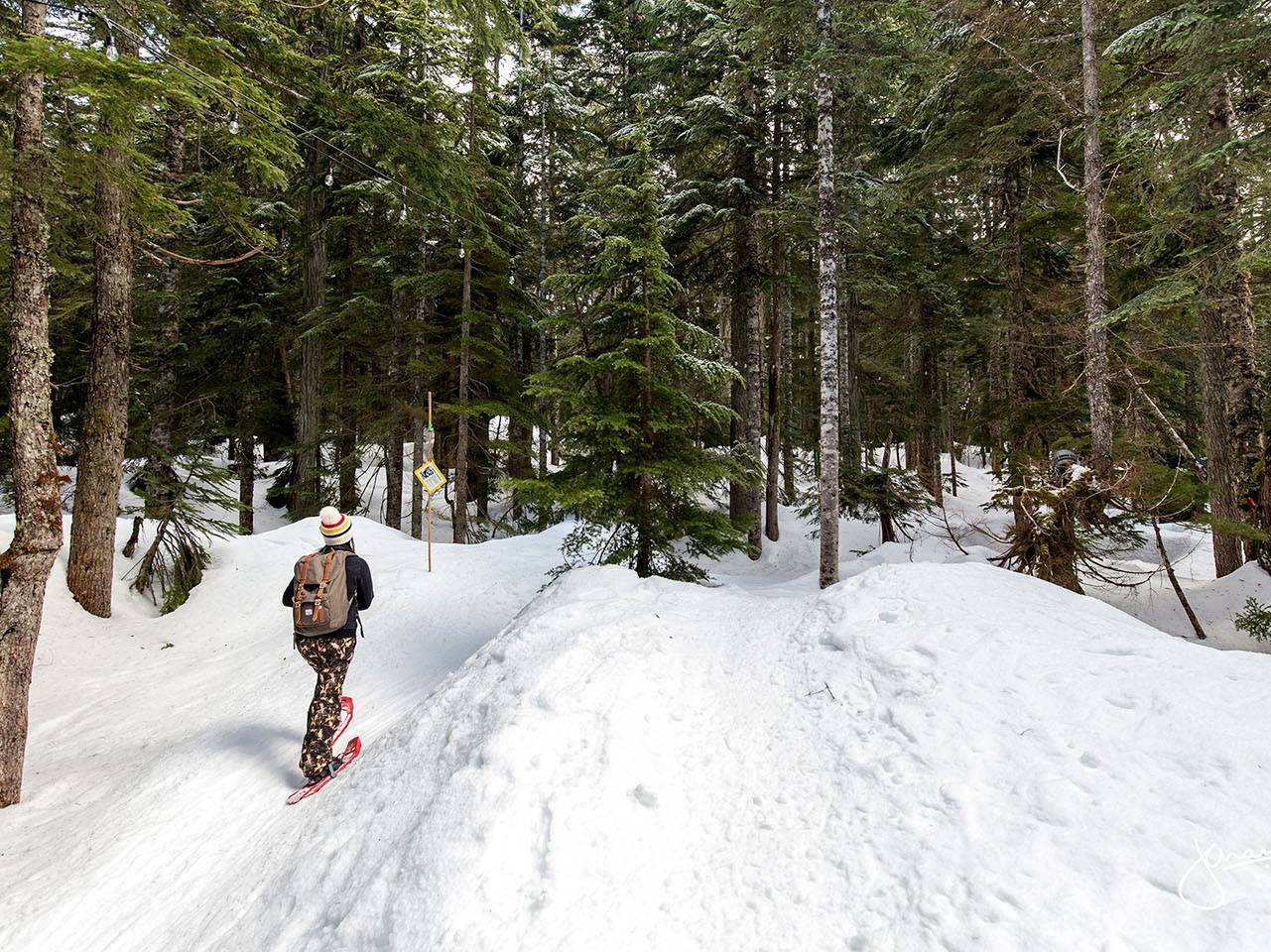 A person walking in the snowy forest with snowshoes.
