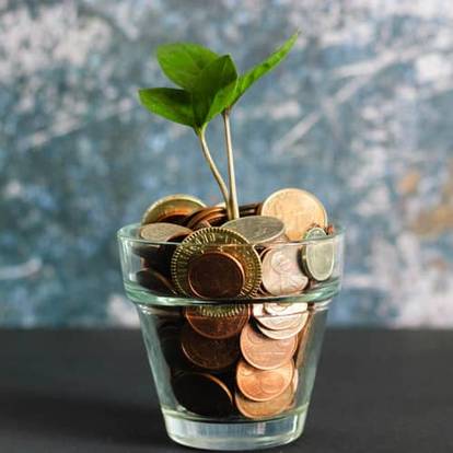 A plant sprouting from a pot full of coins.