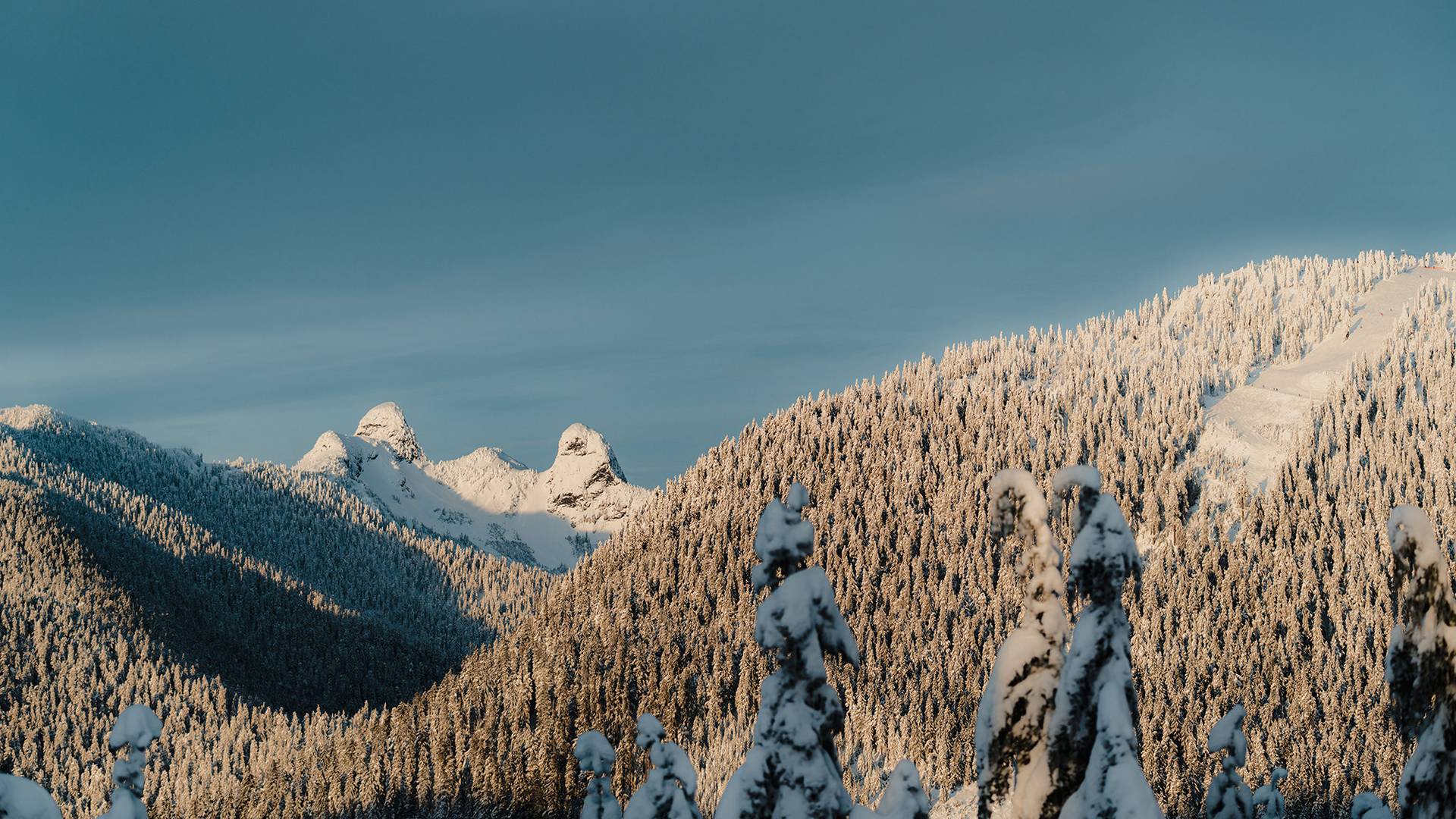 The Lions mountains covered in snow a a black diamond ski run.