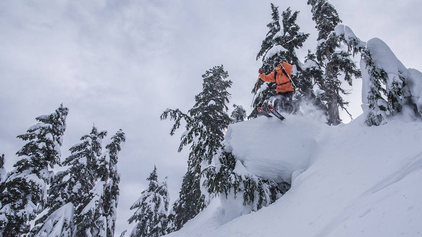 Skier in powder