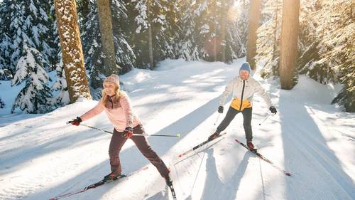 Cross country skate skiers