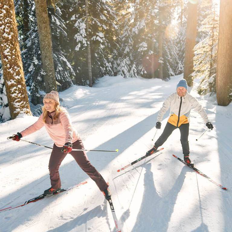 A couple cross country skiing with sun shining in the background through the trees.