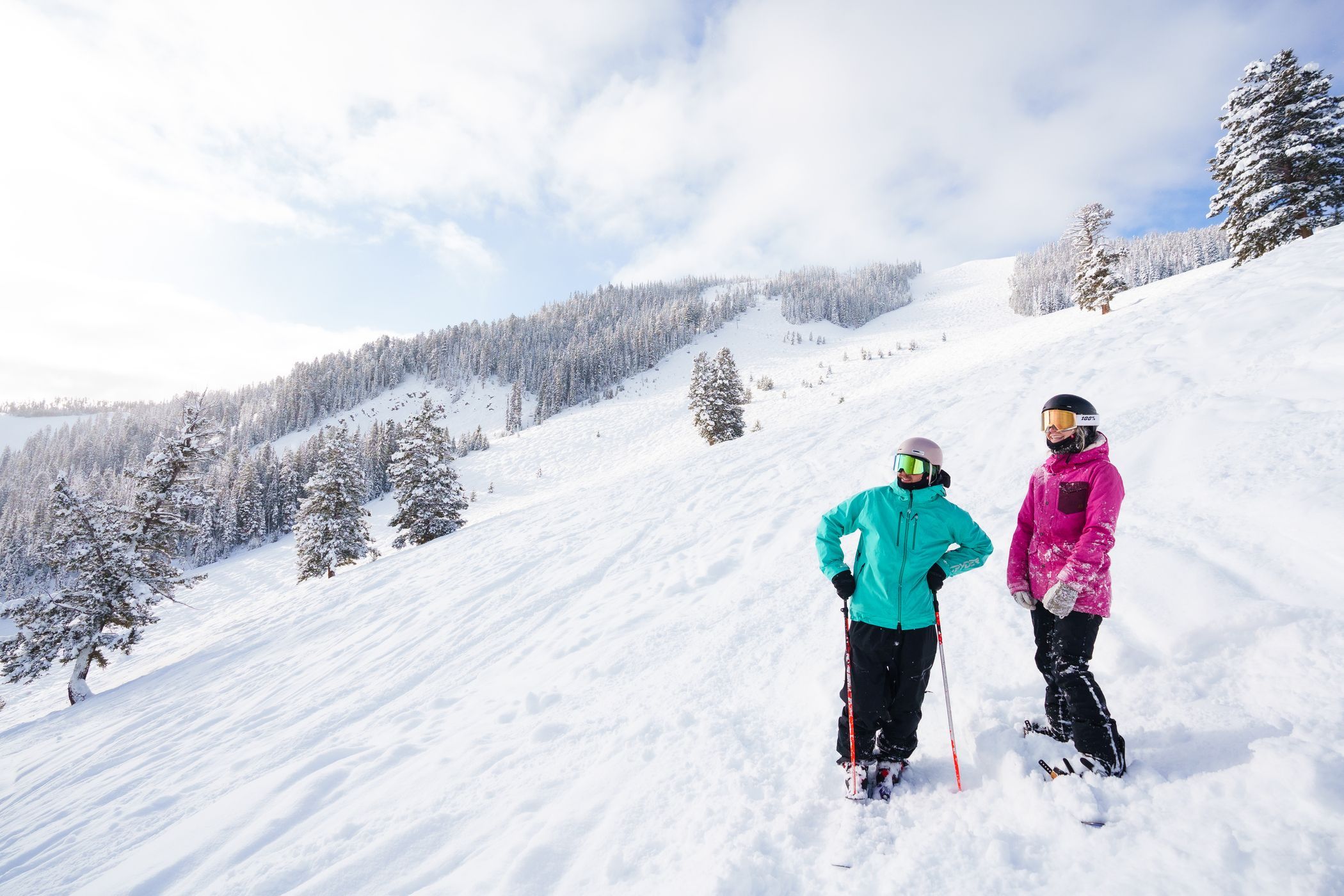 Skier in green jacket and snowboarder in pink jacket admire the view while standing in powder.
