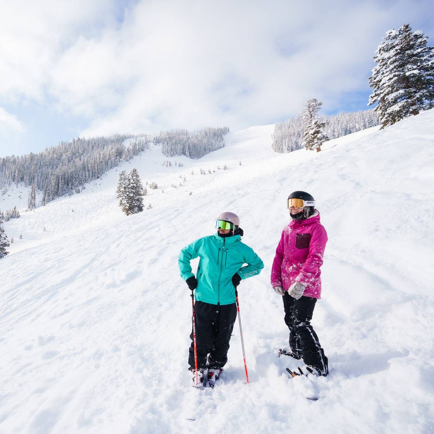 Skier in green jacket and snowboarder in pink jacket admire the view while standing in powder.