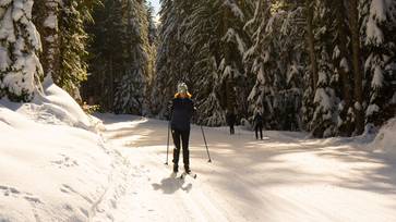 A woman cross country skiing on a sunny day.