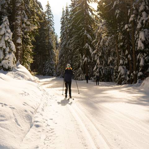 A woman cross country skiing on a sunny day.
