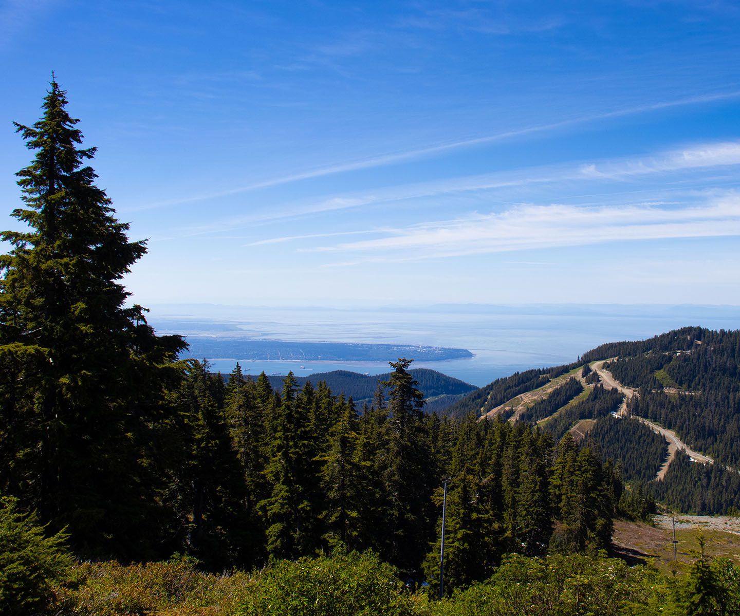 Views from Cypress Mountain in the summer.