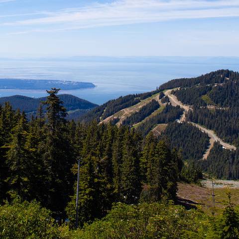 Views from Cypress Mountain in the summer.