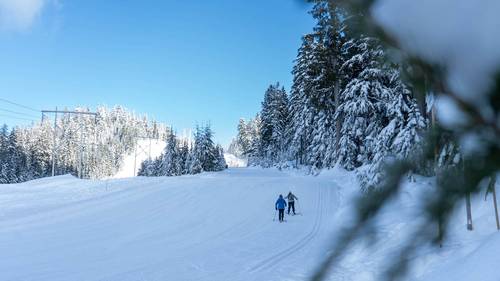 Cross country skiers on a bluebird day.
