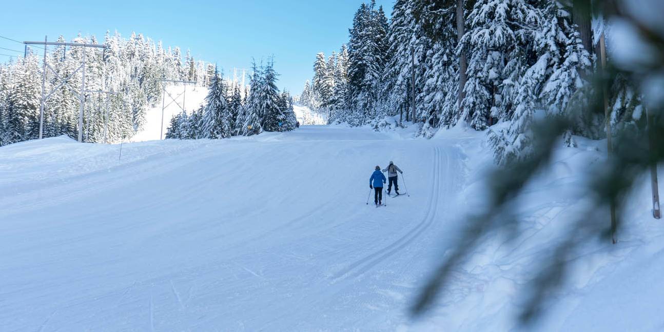 A Nordic skier descends a snowy trail with a green forest on either side.