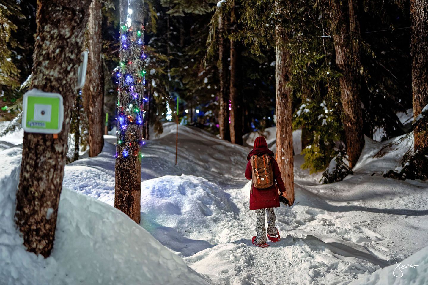 A snow shoer hikes through a snowy trail with lights on all trees.