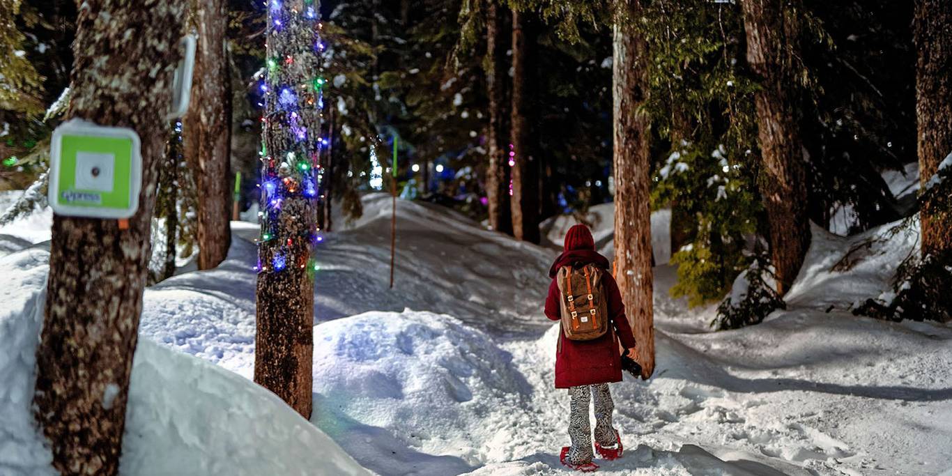 A snow shoer hikes through a snowy trail with lights on all trees.